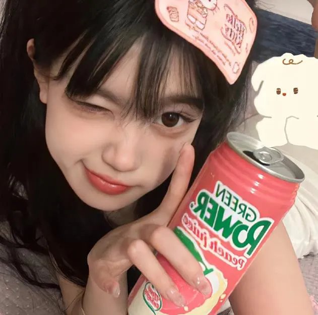 罪网