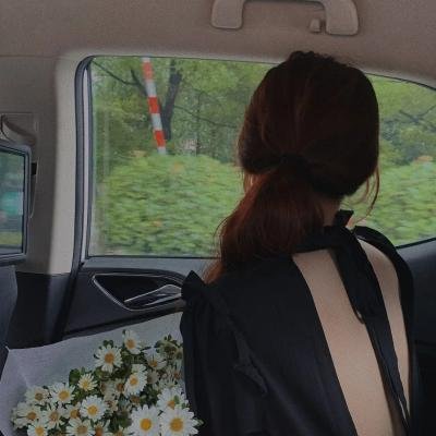 系统逼我说爱你